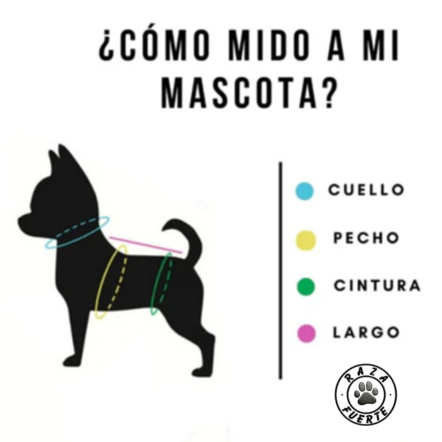 Toma de medidas